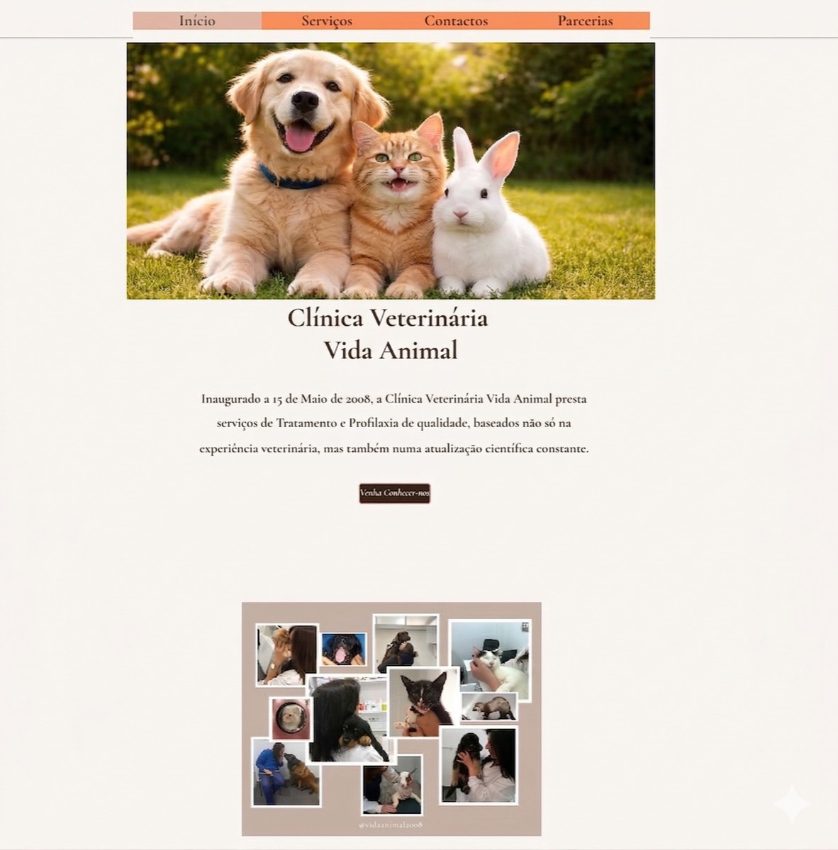 Modern Vale Cambra website designed by Becos